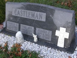 Lori Ann Castleman