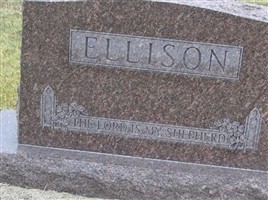 Lori Jean Ellison