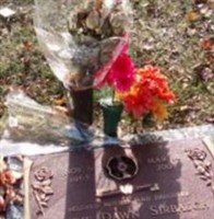 Lorie Dawn Sirbaugh Lorie Dawn Sirbaugh