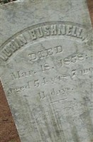 Lorin Bushnell