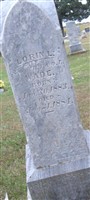 Lorin L. Wade