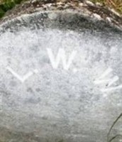 Lorin Wilkins White