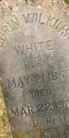 Lorin Wilkins White