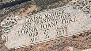 Lorna J Washington Diaz