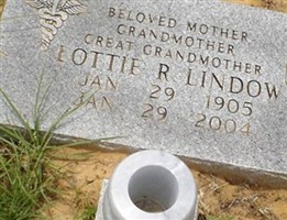 Lottie Lindow Lottie Lindow