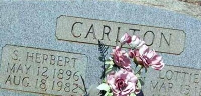 Lottie Noel Carlton