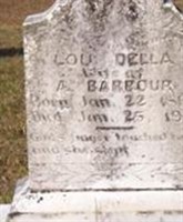 Lou Della Barbour