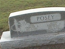 Louella P Posey