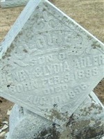 Louie Adler