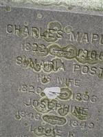 Louie K Maples