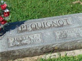Louis Alphonso Pequignot Louis Alphonso Pequignot