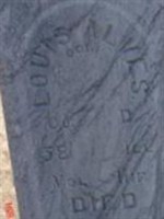 Louis Alves