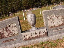 Louis Alvis Dickey Louis Alvis Dickey