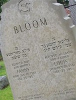 Louis Bloom Louis Bloom