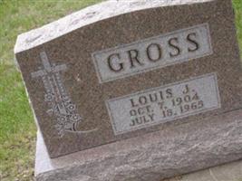 Louis J Gross