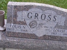 Louis N Gross