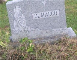 Louis S DeMarco