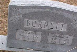 Louisa Angeline "Aunt Ange" Burnett