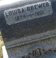 Louisa Brewer
