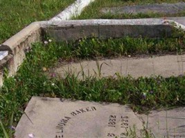 Louisa Elnora Baker