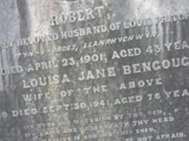 Louisa Jane Bengough Pritchard Louisa Jane Bengough Pritchard
