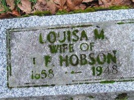 Louisa Maria Dailey Hobson