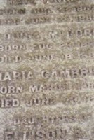 Louisa McCord Smyth