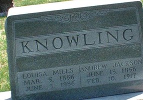 Louisa Mills Knowling