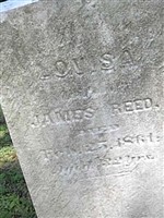 Louisa Reed Louisa Reed