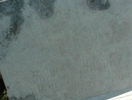 Louisa Reinhardt Louisa Reinhardt