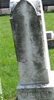 Louisa Ries Wilber