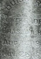Louisa Ries Wilber