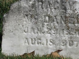 Louisa Tracey McDaniel