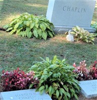 Louise A Devine Chaplin Louise A Devine Chaplin