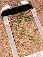 Louise B. Proctor