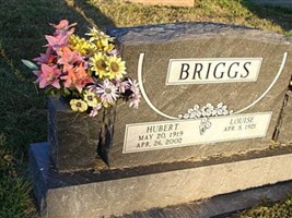 Louise Briggs