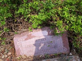 Louise Garnett Louise Garnett