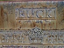 Louise Katherine Hahn Buck