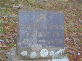 Louise Lopes Tibbetts