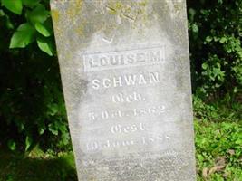 Louise M Schwan