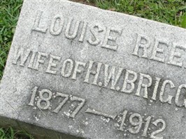 Louise Reed Briggs