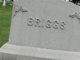 Louise Reed Briggs
