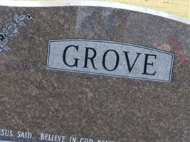 Anna Louise "Violet" Abrahamson Grove Anna Louise "Violet" Abrahamson Grove