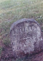 Lourana Davis Rees