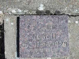 Lovella E. Olsen