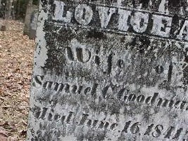 Lovice A. Tuttle Goodman