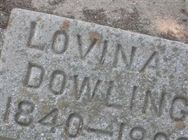 Lovina Dowling
