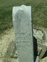 Lowell Dull