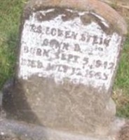 Lowenstein Gunn