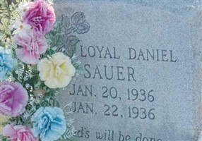 Loyal Daniel Sauer Loyal Daniel Sauer